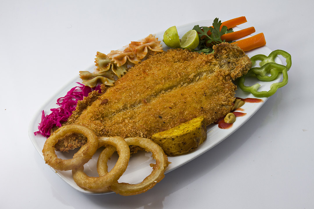  عکس خوراک قزل آلا